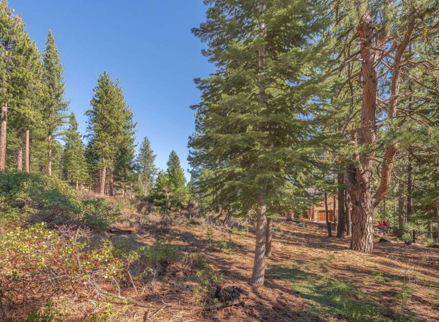 Nestled amidst a serene forest, this property offers a tranquil escape.