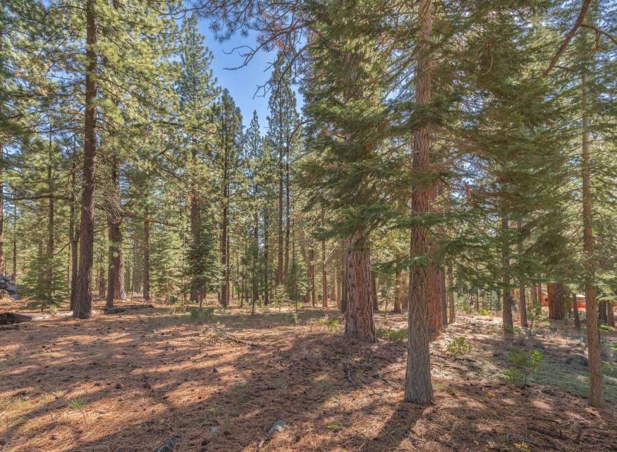 Discover the tranquility of this stunning property nestled within a lush forest.