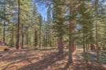 Discover the tranquility of this stunning property nestled within a lush forest.