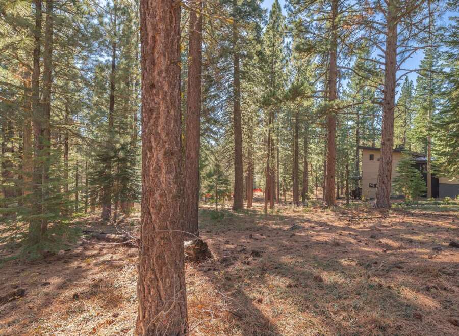 Nestled in a serene forest setting, this property offers a unique blend of nature and modern living.