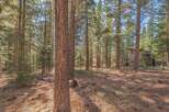 Nestled in a serene forest setting, this property offers a unique blend of nature and modern living.