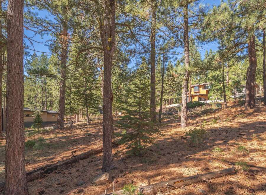 Nestled amidst a serene forest, this property offers a tranquil escape.