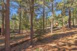 Nestled amidst a serene forest, this property offers a tranquil escape.