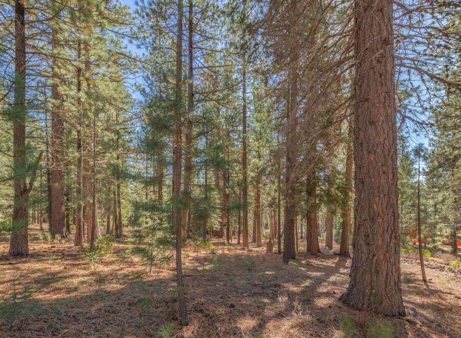 Discover the tranquility of this stunning property nestled in a lush forest setting.