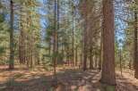Discover the tranquility of this stunning property nestled in a lush forest setting.