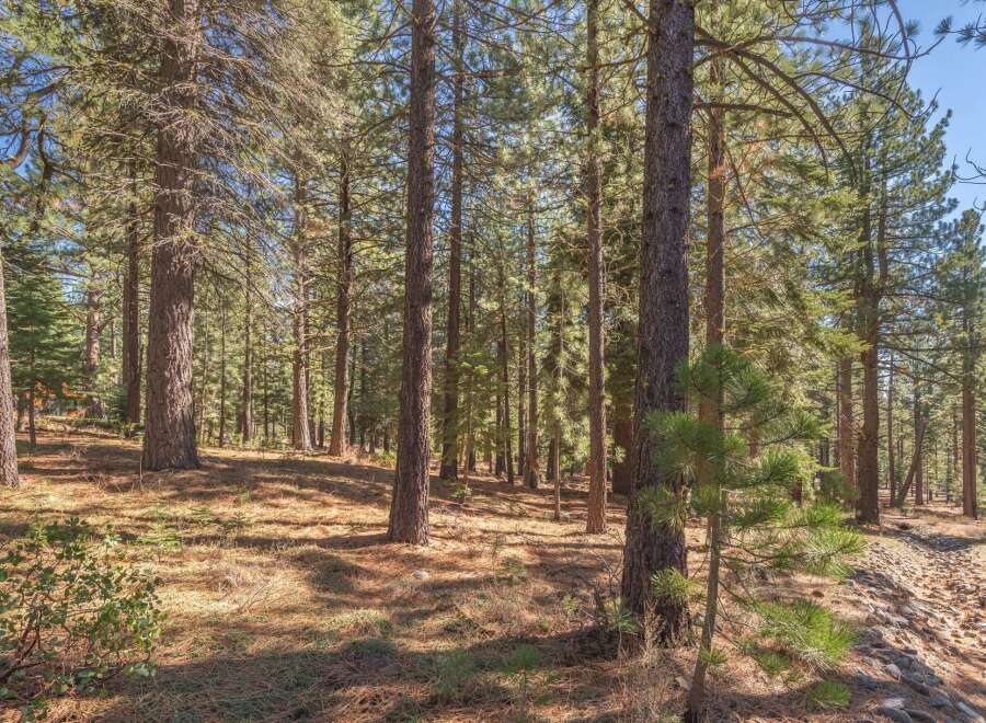 Discover the tranquility of this stunning property nestled in a lush forest setting.