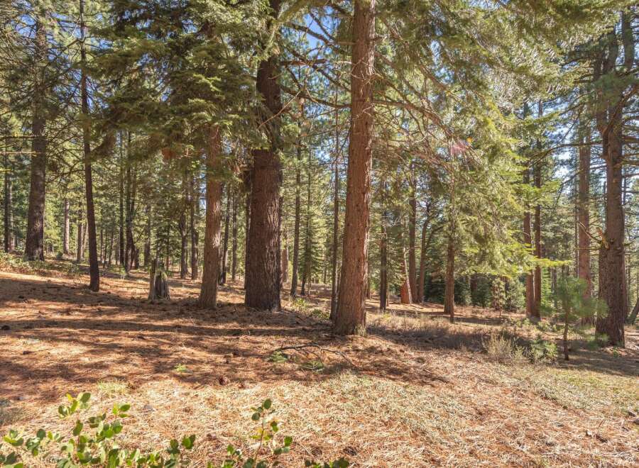 Discover the tranquility of this stunning forest property, perfect for nature lovers and outdoor enthusiasts.