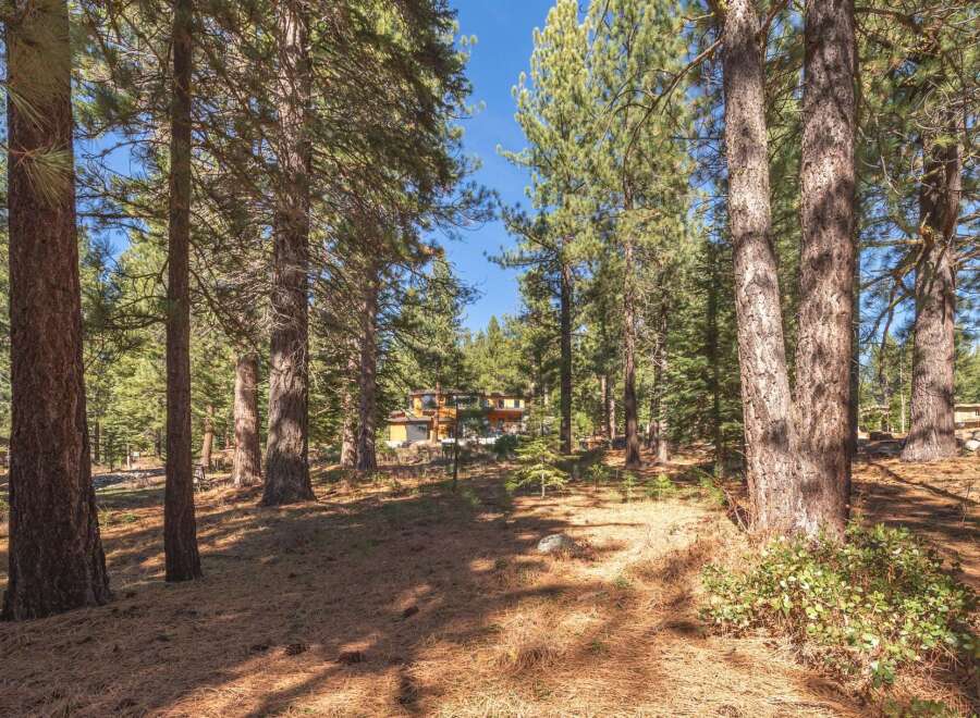 Nestled amidst towering trees, this property offers a serene escape.