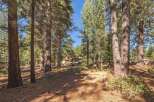 Nestled amidst towering trees, this property offers a serene escape.