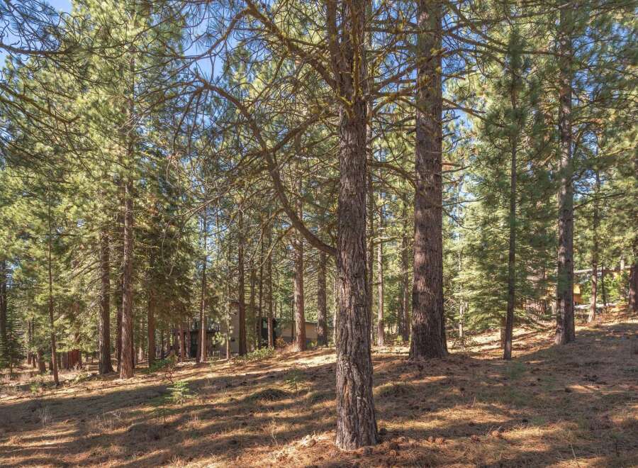 Discover the tranquility of this stunning property nestled in a lush forest setting.