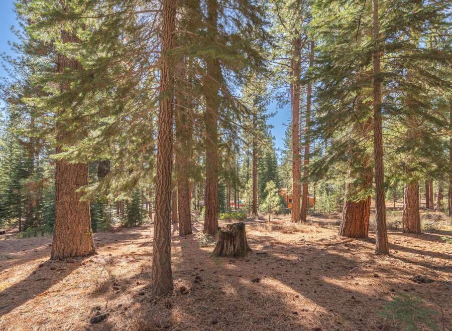 Discover the tranquility of this stunning property surrounded by towering trees and lush greenery.