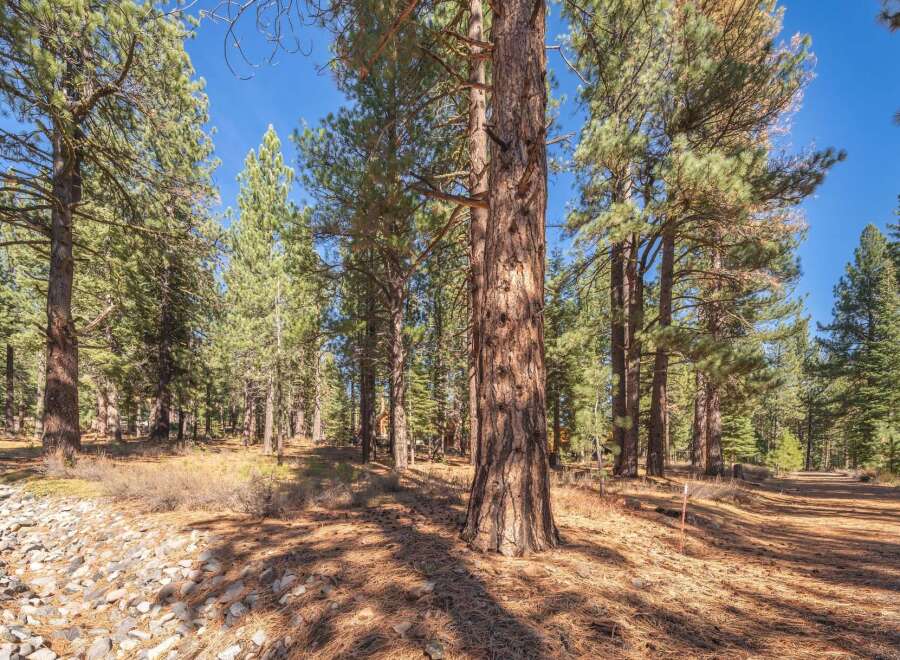 Discover the tranquility of this stunning property surrounded by towering trees and a serene natural landscape.