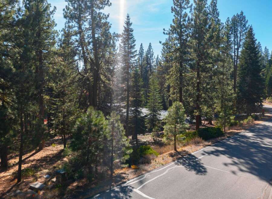 Nestled amidst towering trees, this property offers a serene escape.