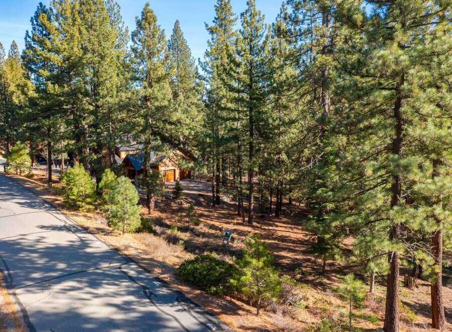 Nestled amidst towering trees, this stunning property offers a serene escape.