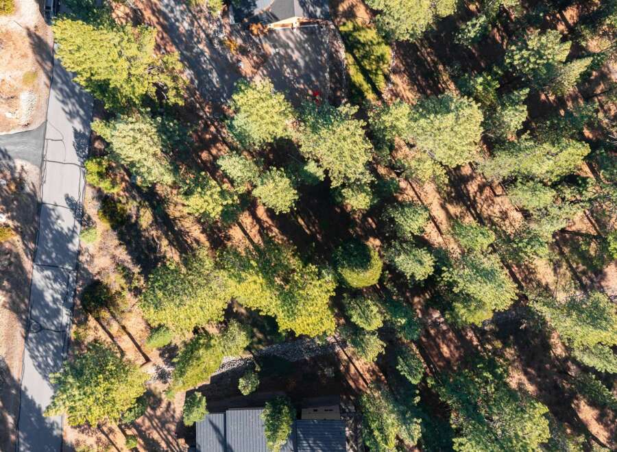 Discover the tranquility of this stunning property nestled amidst a lush forest.
