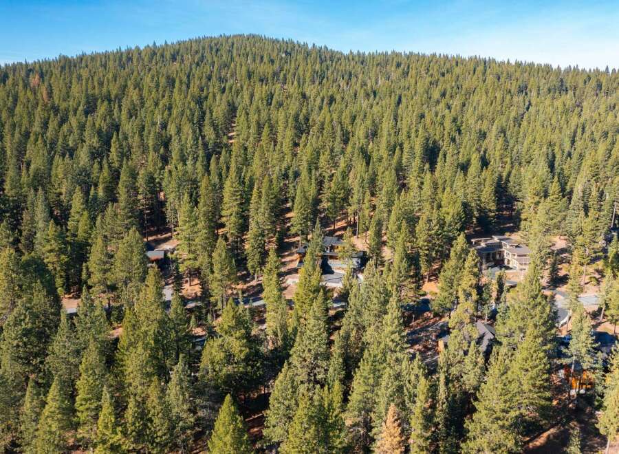Nestled amidst a lush forest, this stunning property offers unparalleled privacy and tranquility.