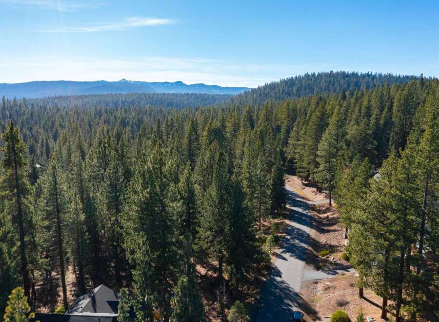 Discover a stunning property nestled in a serene, tree-filled landscape.