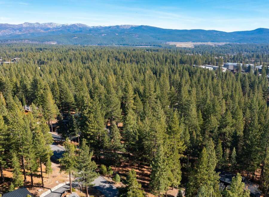 Discover the tranquility of this stunning property nestled amidst a lush forest.