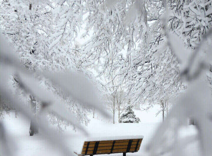 Experience the serenity of winter in this picturesque setting.