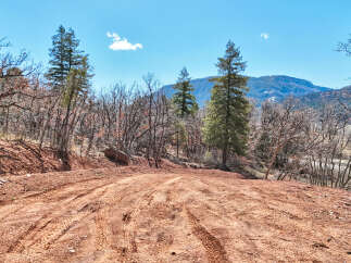 Explore the beauty of nature with this stunning property! This expansive land features a rugged dirt road, perfect for off-road adventures and scenic drives.