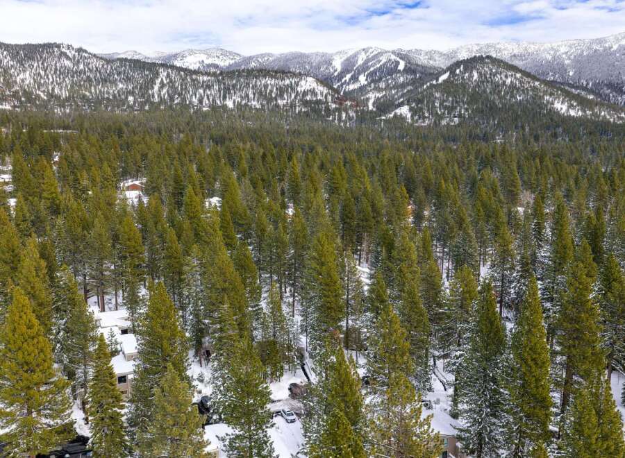 Nestled amidst a serene winter landscape, this property offers a unique blend of natural beauty and modern living.