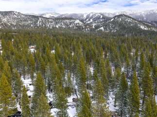 Nestled amidst a serene winter landscape, this property offers a unique blend of natural beauty and modern living.