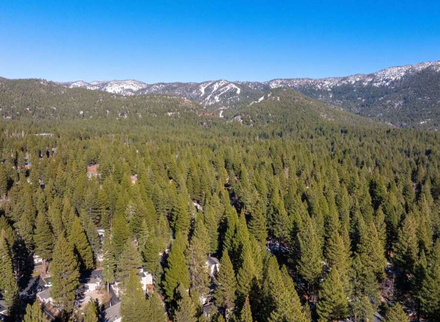 Nestled amidst a lush forest, this property offers unparalleled privacy and tranquility.