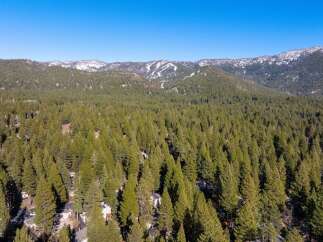 Nestled amidst a lush forest, this property offers unparalleled privacy and tranquility.