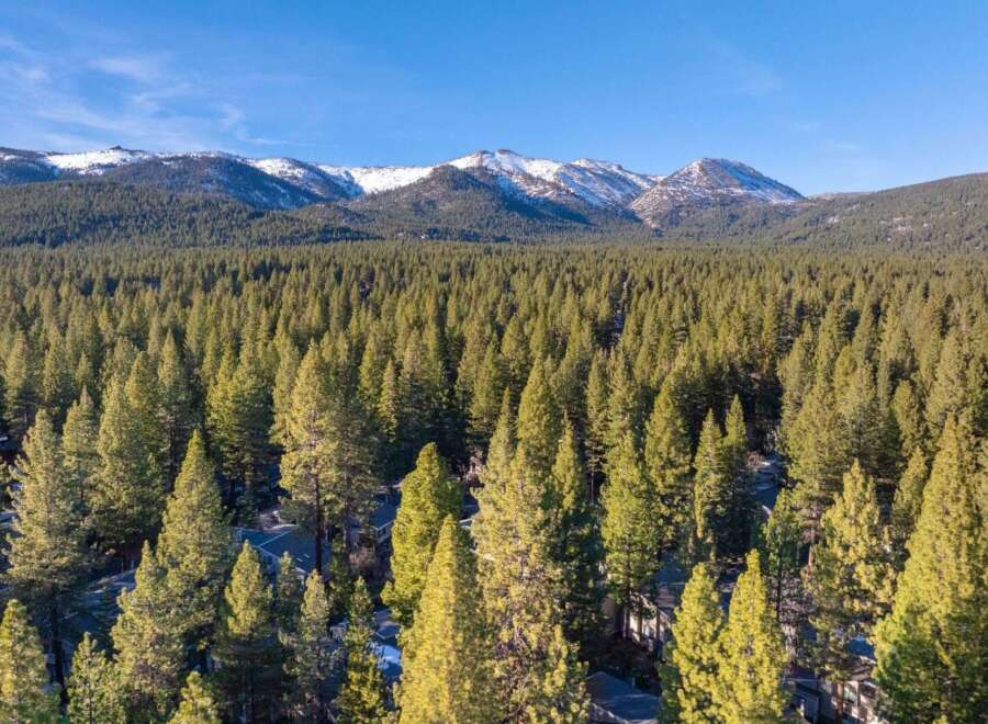 Discover a stunning property nestled amidst a lush forest with breathtaking mountain views.