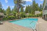 Enjoy a refreshing dip in the inviting pool, surrounded by lush greenery and towering trees.