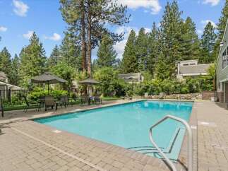 Enjoy a refreshing dip in the inviting pool, surrounded by lush greenery and towering trees.