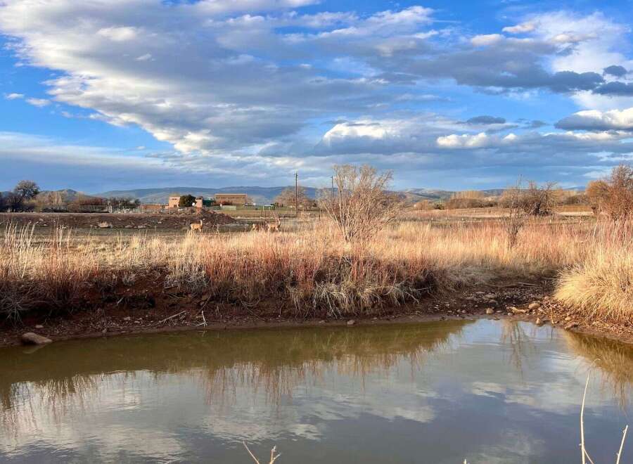 House in Falfa - view 1