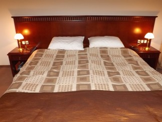 This hotel room features a comfortable double bed with a patterned bedspread and a rich brown headboard.