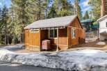 Nestled amidst towering trees, this charming cabin offers a cozy retreat.