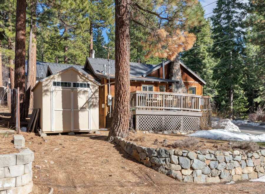 Nestled amidst towering trees, this charming cabin offers a serene escape.