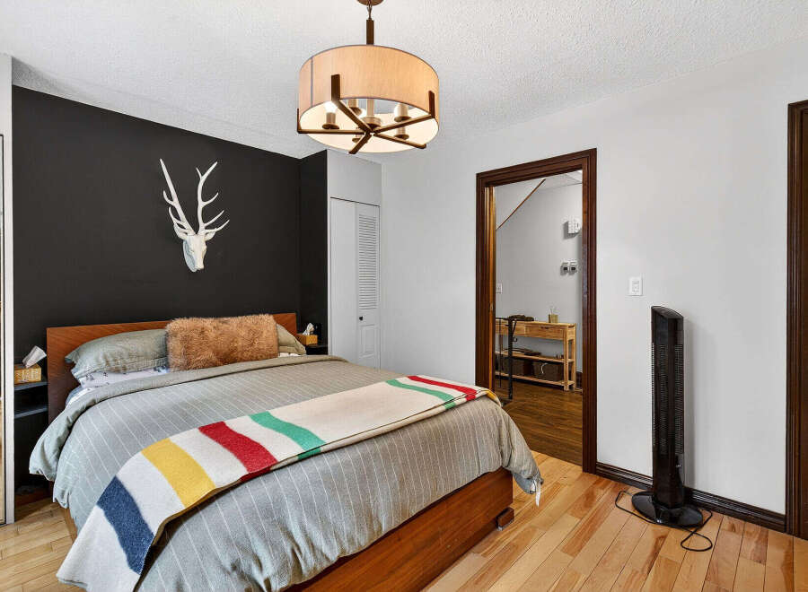 This cozy bedroom features a stylish design with a striking black accent wall, complemented by a unique deer head decor.