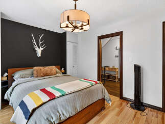 This cozy bedroom features a stylish design with a striking black accent wall, complemented by a unique deer head decor.