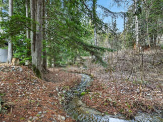 Discover a serene oasis with this property featuring a tranquil stream winding through lush greenery.