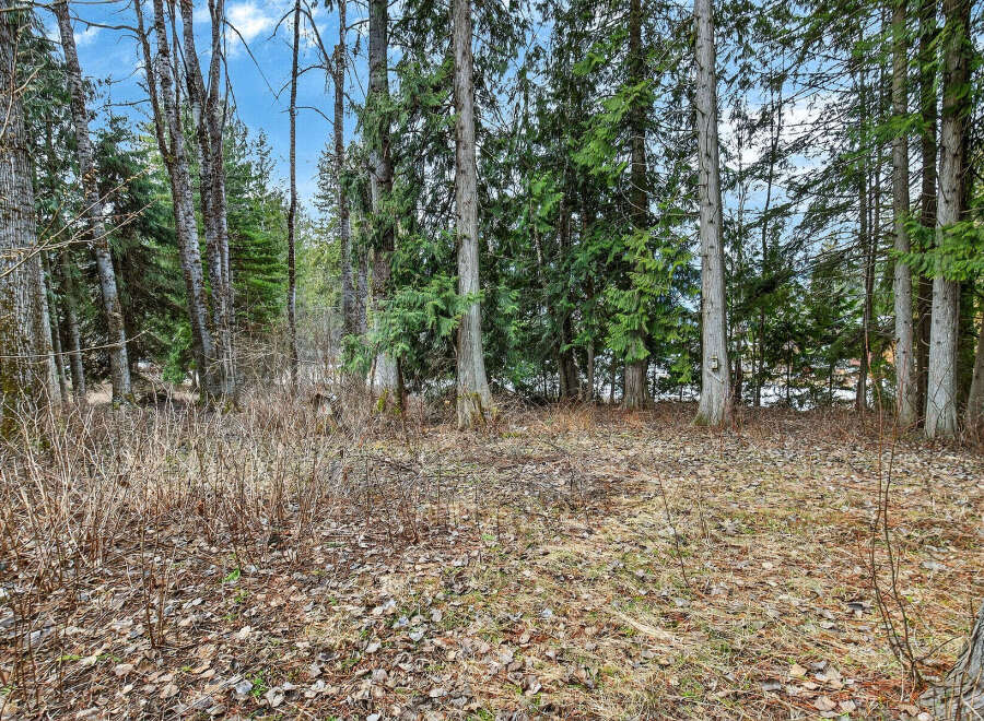 Discover the tranquility of this stunning property surrounded by lush greenery and towering trees.