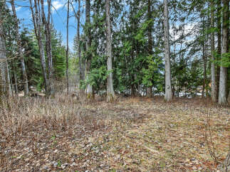 Discover the tranquility of this stunning property surrounded by lush greenery and towering trees.