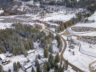 This stunning aerial view showcases a picturesque winter landscape, highlighting a charming property nestled amidst snow-covered trees.