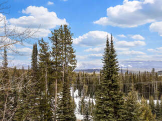 Experience the tranquility of mountain living with this stunning property.