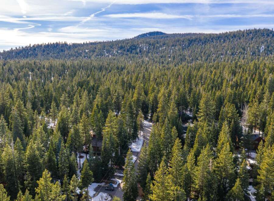 Nestled amidst a dense forest of evergreen trees, this property offers a secluded mountain retreat.