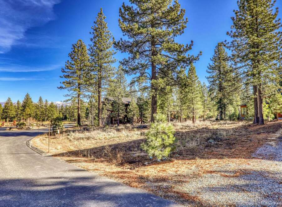 Discover the tranquility of this stunning property surrounded by towering trees and a serene landscape.