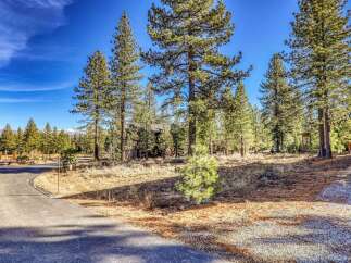 Discover the tranquility of this stunning property surrounded by towering trees and a serene landscape.
