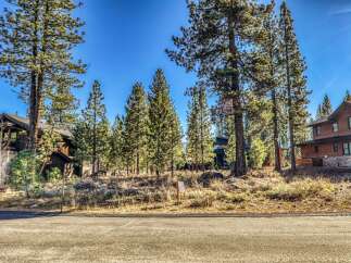 Nestled amidst towering pines, this stunning property offers a serene escape.