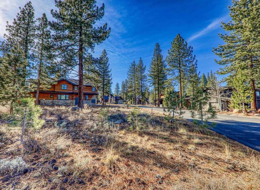 Discover the charm of this stunning property nestled amidst towering trees and a serene landscape.