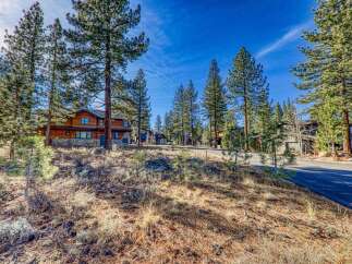 Discover the charm of this stunning property nestled amidst towering trees and a serene landscape.