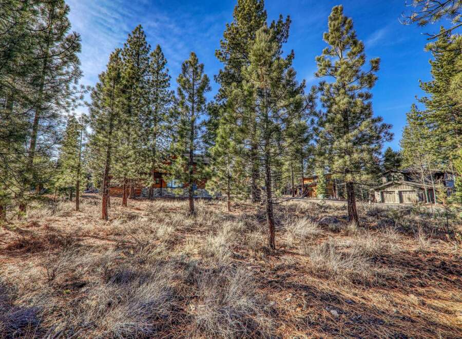 Discover your dream home nestled amidst the serene beauty of nature.