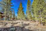 Nestled amidst towering trees and a vibrant blue sky, this property offers a serene escape.